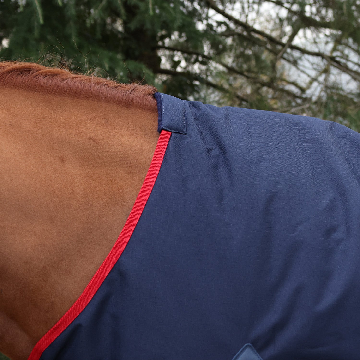 Whitaker Rastrick V2 0g Turnout