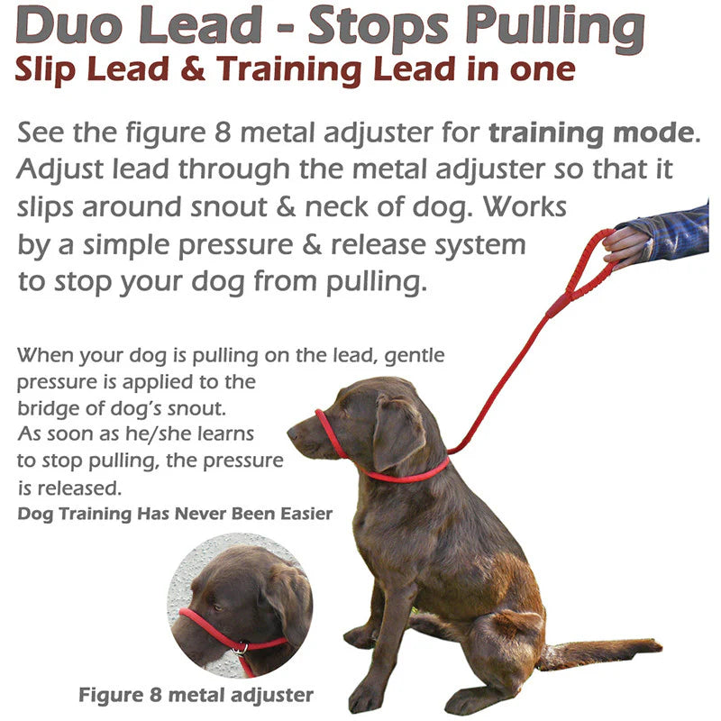 Miro & Makauri Slip Lead with Figure 8 Training Aid (Rubber Handle Grip) 120cm