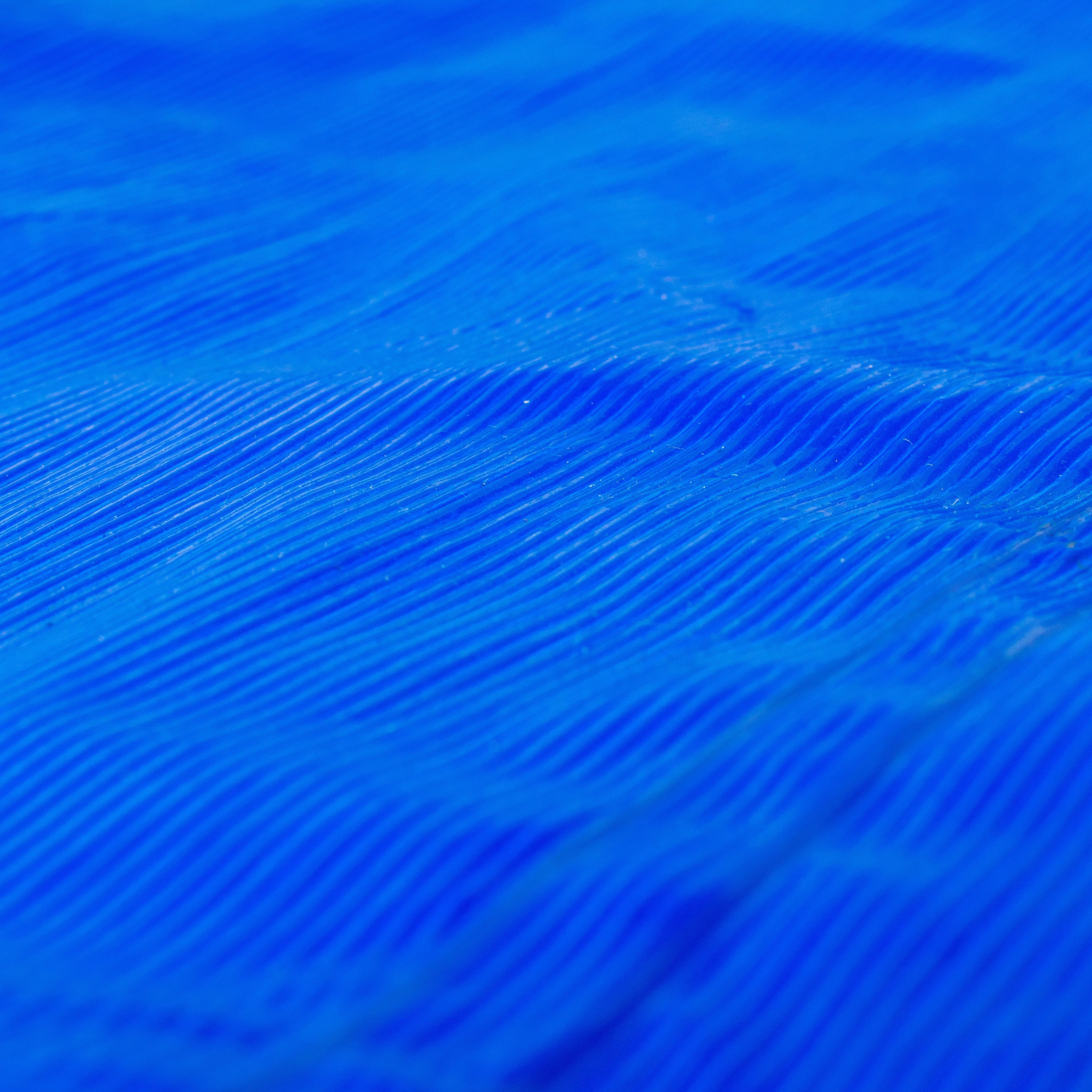 M-Grade LLDPE Blue Tarpaulin 3m x 3m