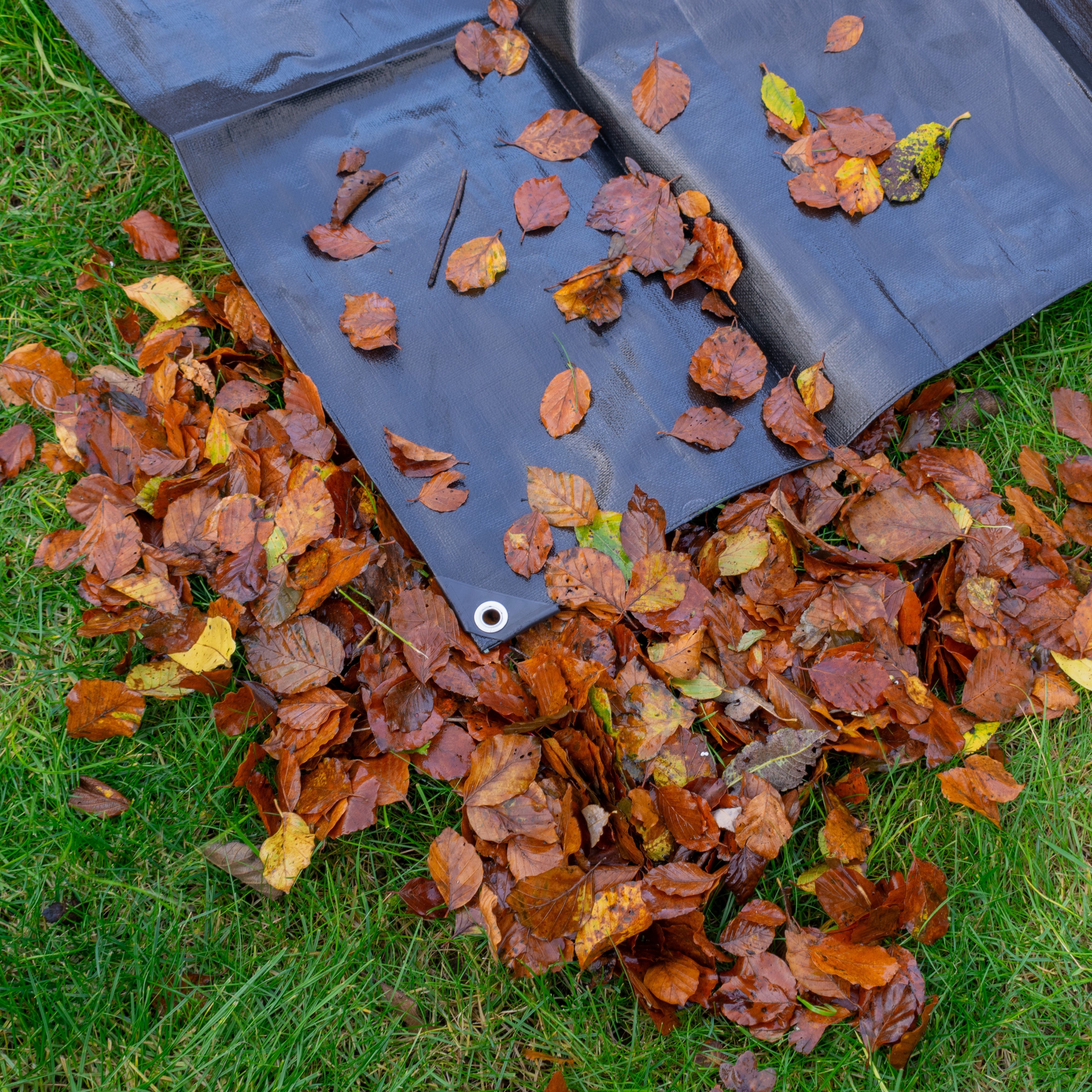 Black/Silver L-Grade Tarpaulin with 10 Metres of 6mm Bungee Rope