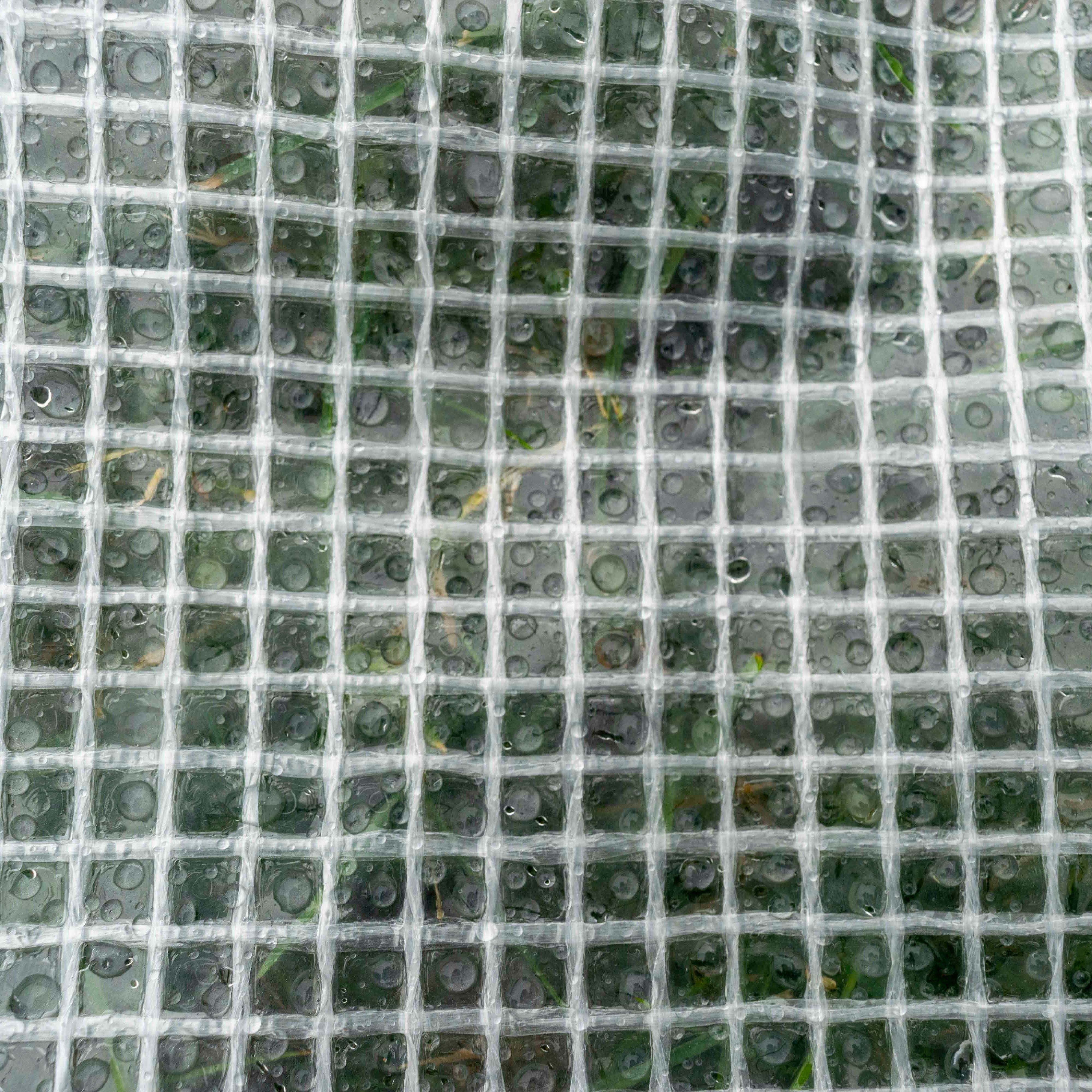 Clear XL-Grade Tarpaulin with 10 x 6" Bungee Balls (Black)