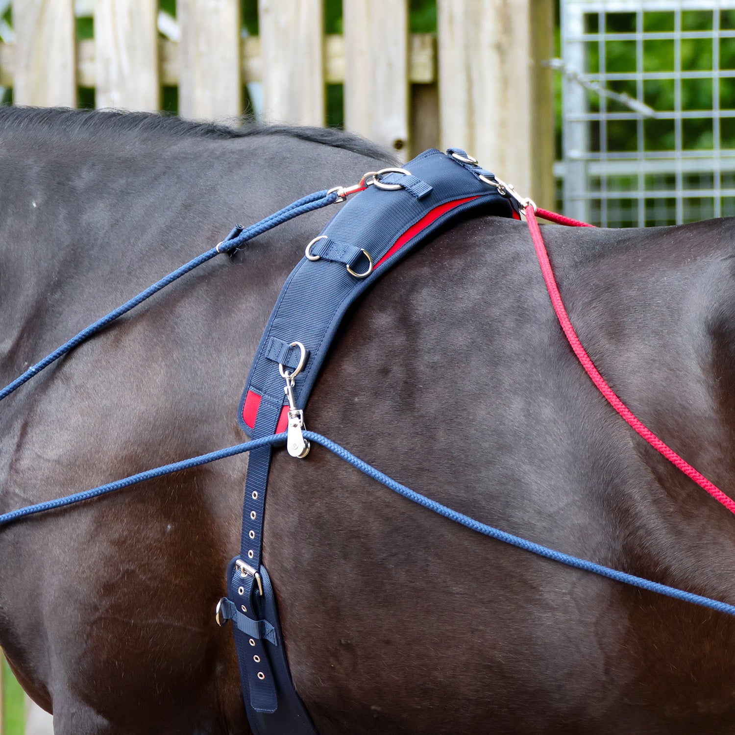 The John Whitaker Training System