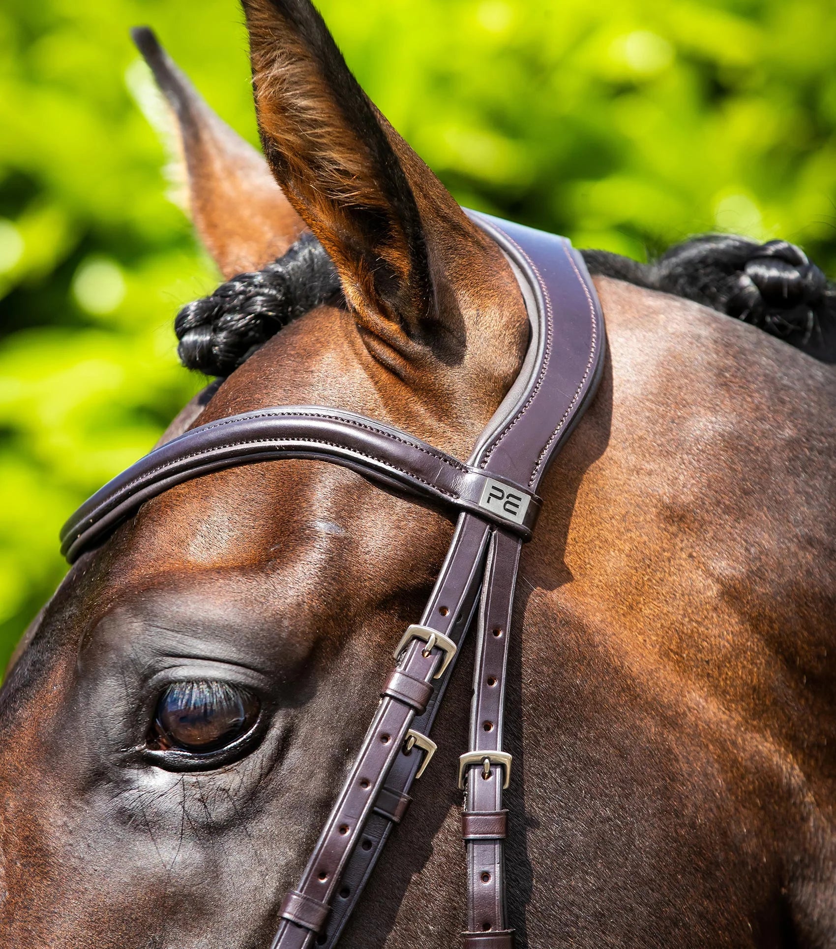 Verdura Anatomic Snaffle Bridle