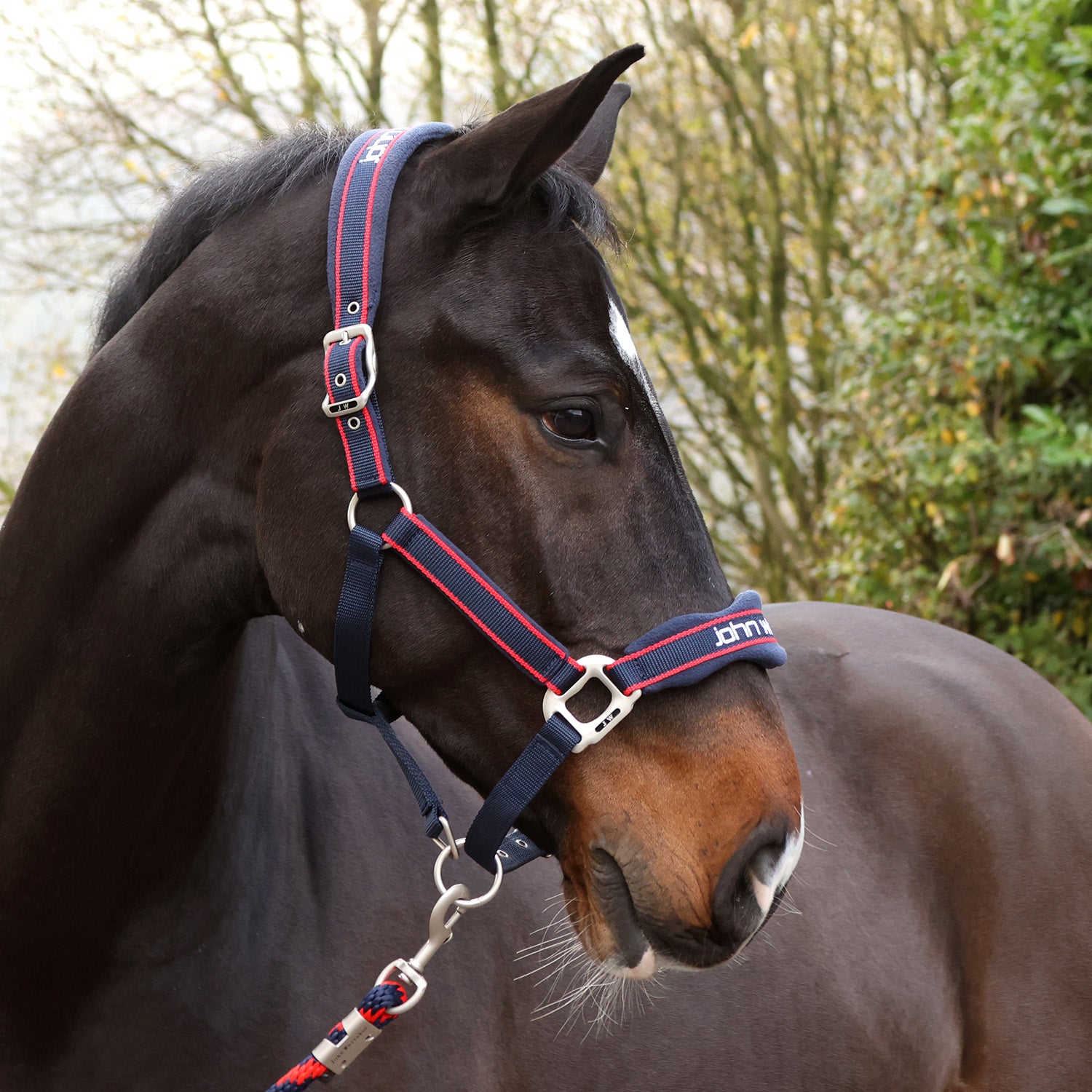 John Whitaker Padded Headcollar & Leadrope Set