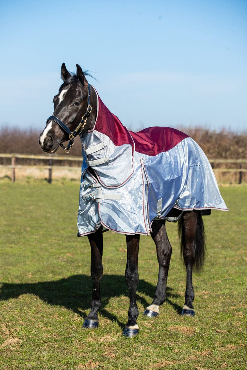 Fly Turnout Combination Rug -burgundy