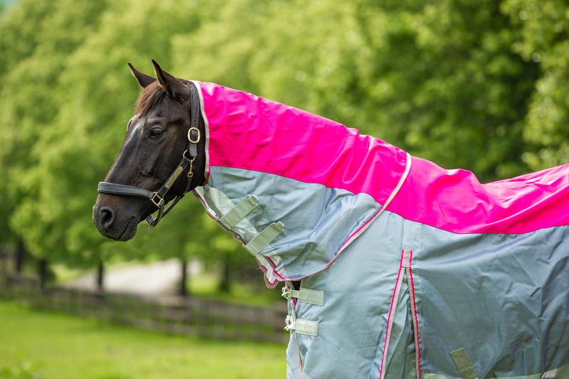 Fly Turnout Combination Rug - Pink
