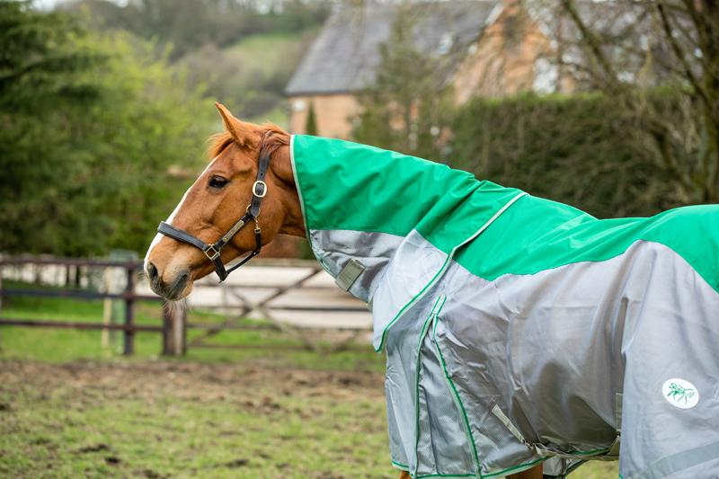 Fly Turnout Combination Rug (MESH) - Green