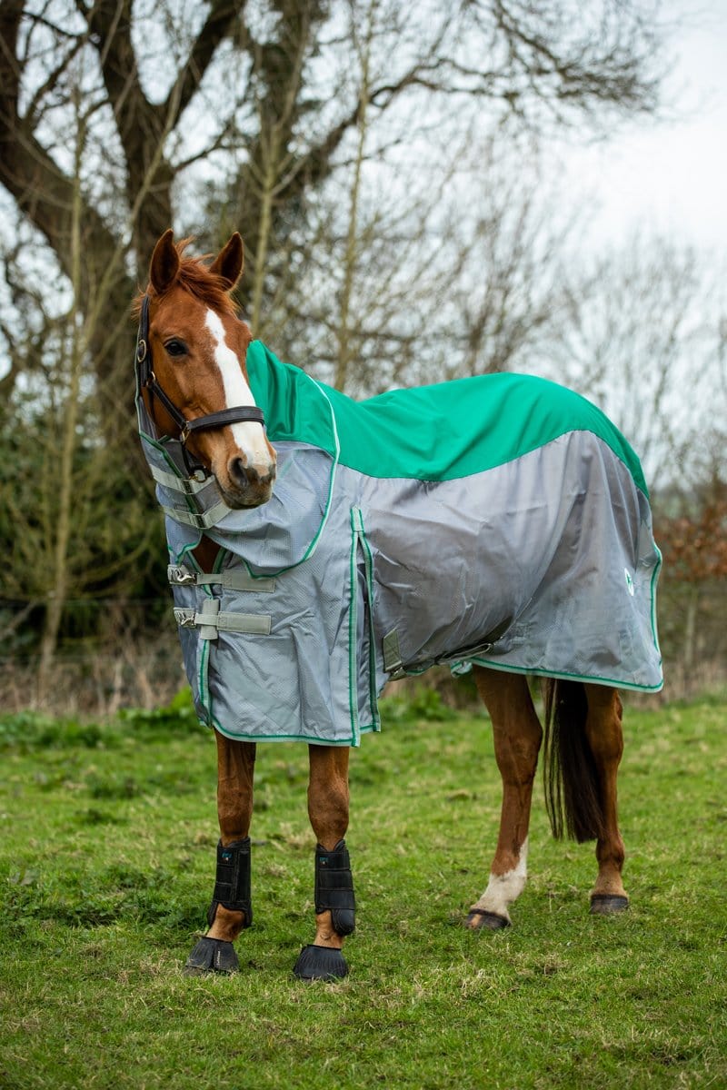 Fly Turnout Combination Rug (NYLON) - Green