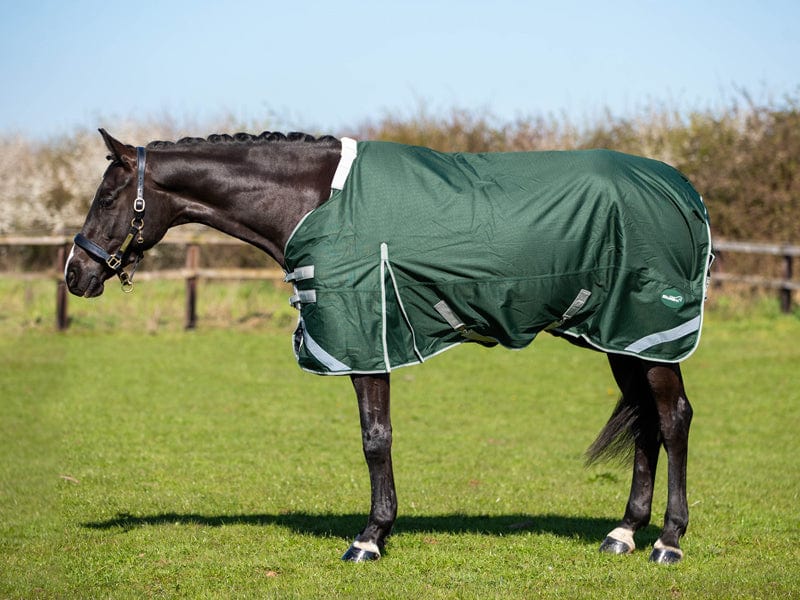 100g Detachable Neck Turnout Rug - Hunter Green