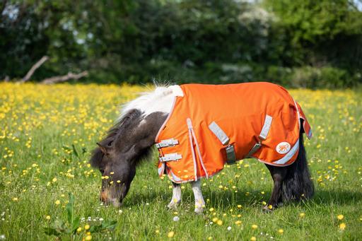 MINI 50g Turnout Rug - Orange