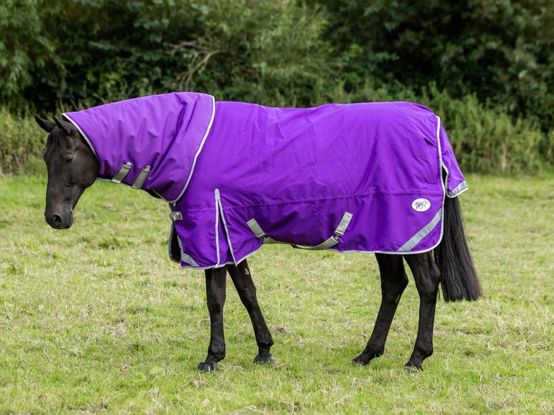 100g Detachable Neck Turnout Rug - Purple