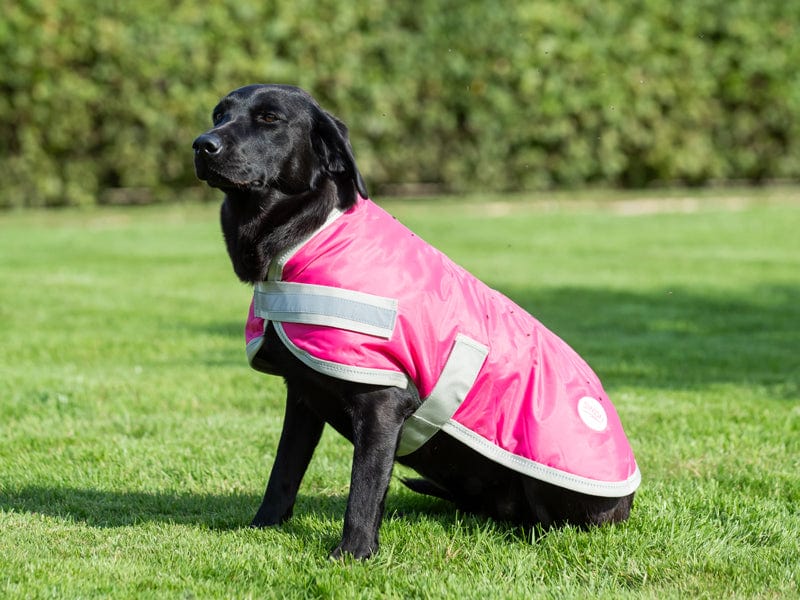 Waterproof Dog Coat - Raspberry