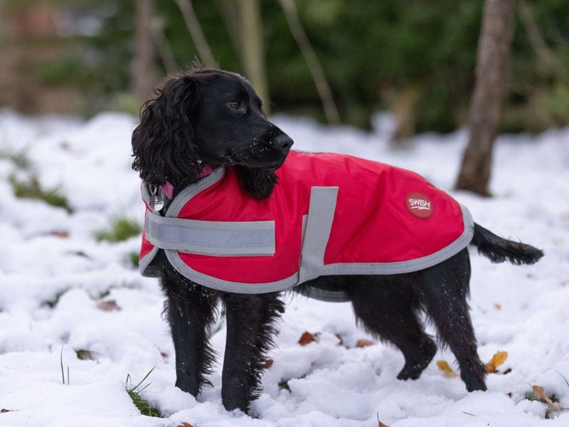 Waterproof Dog Coat - Red