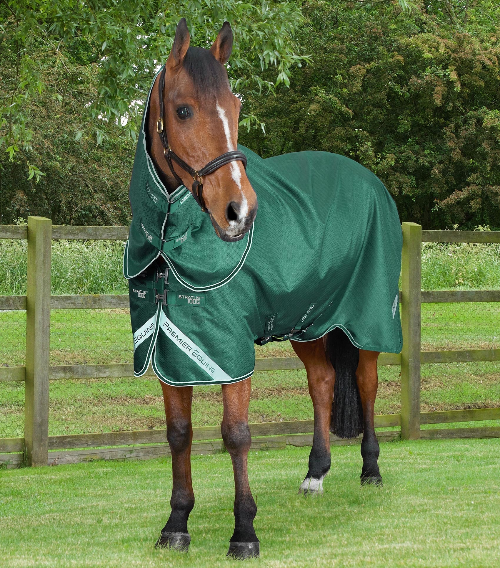 Stratus 600D Series 100g Turnout Rug with Classic Neck Cover