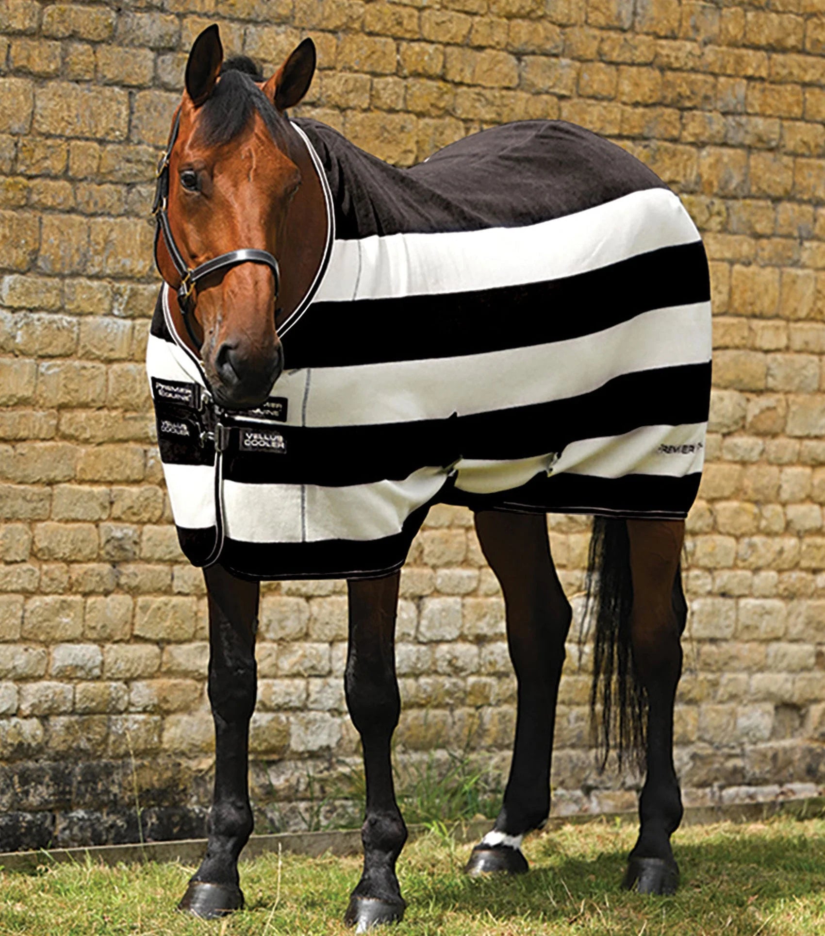 Premier Equine Vellus Horse Fleece Rug