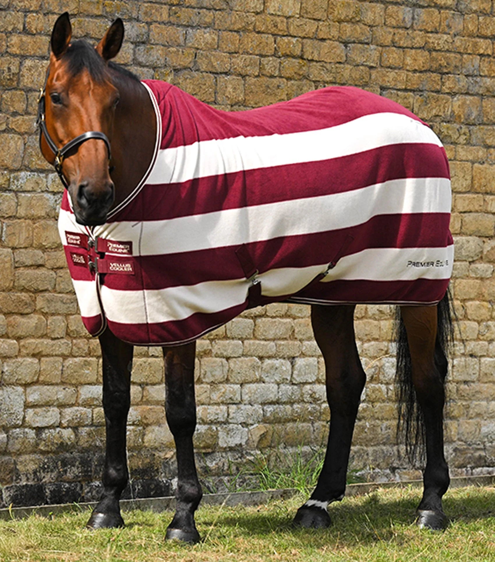 Premier Equine Vellus Horse Fleece Rug